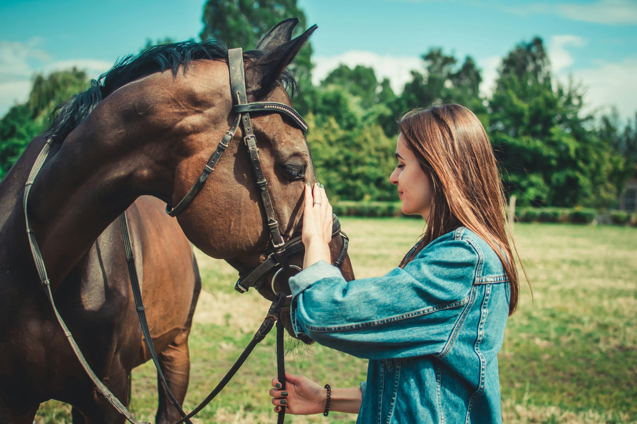 Equine therapy session at Hollyburn Support Services